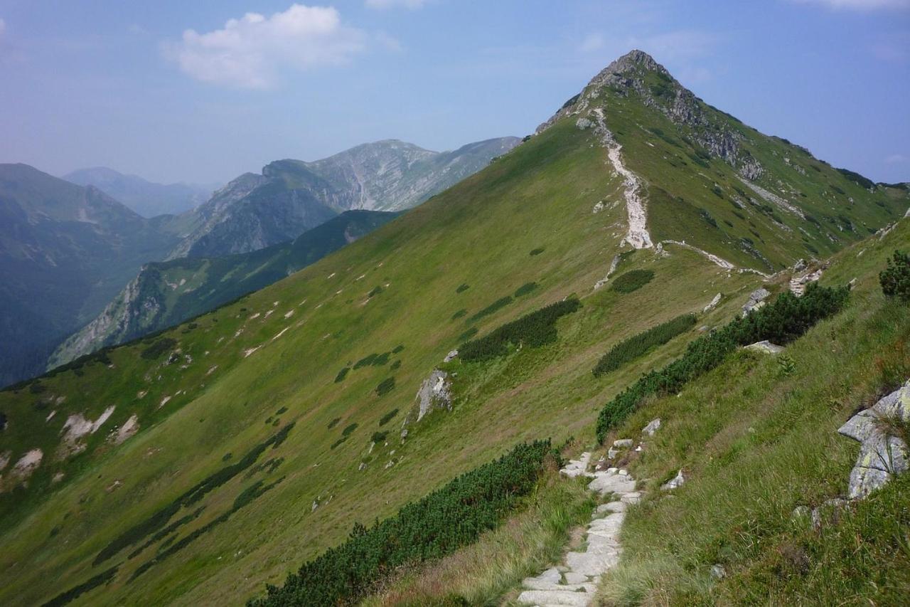 Skoczek: Two-room With Shared Bathrooms And Thermal Access Apartment Zakopane