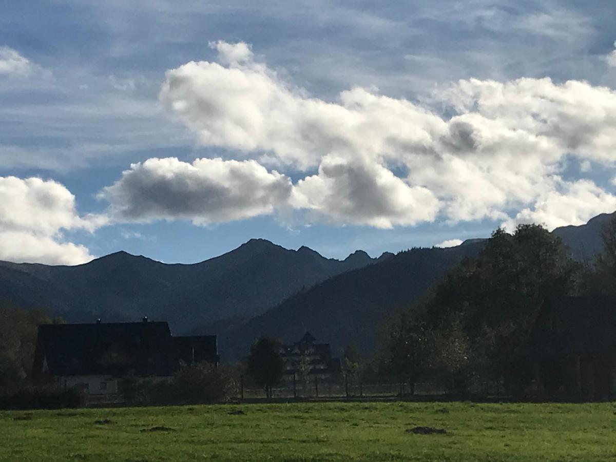 Apartment A3Apartament 2 Pokojowy Aneks Kuchenny 2 Lazienki Na Korytarzu Wspolne Z Innymi Ludzmi Zakopane