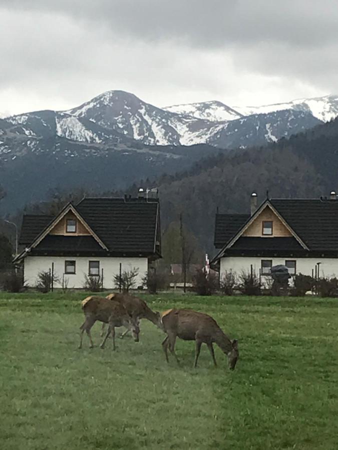 Skoczek: Two-room With Shared Bathrooms And Thermal Access Apartment Zakopane