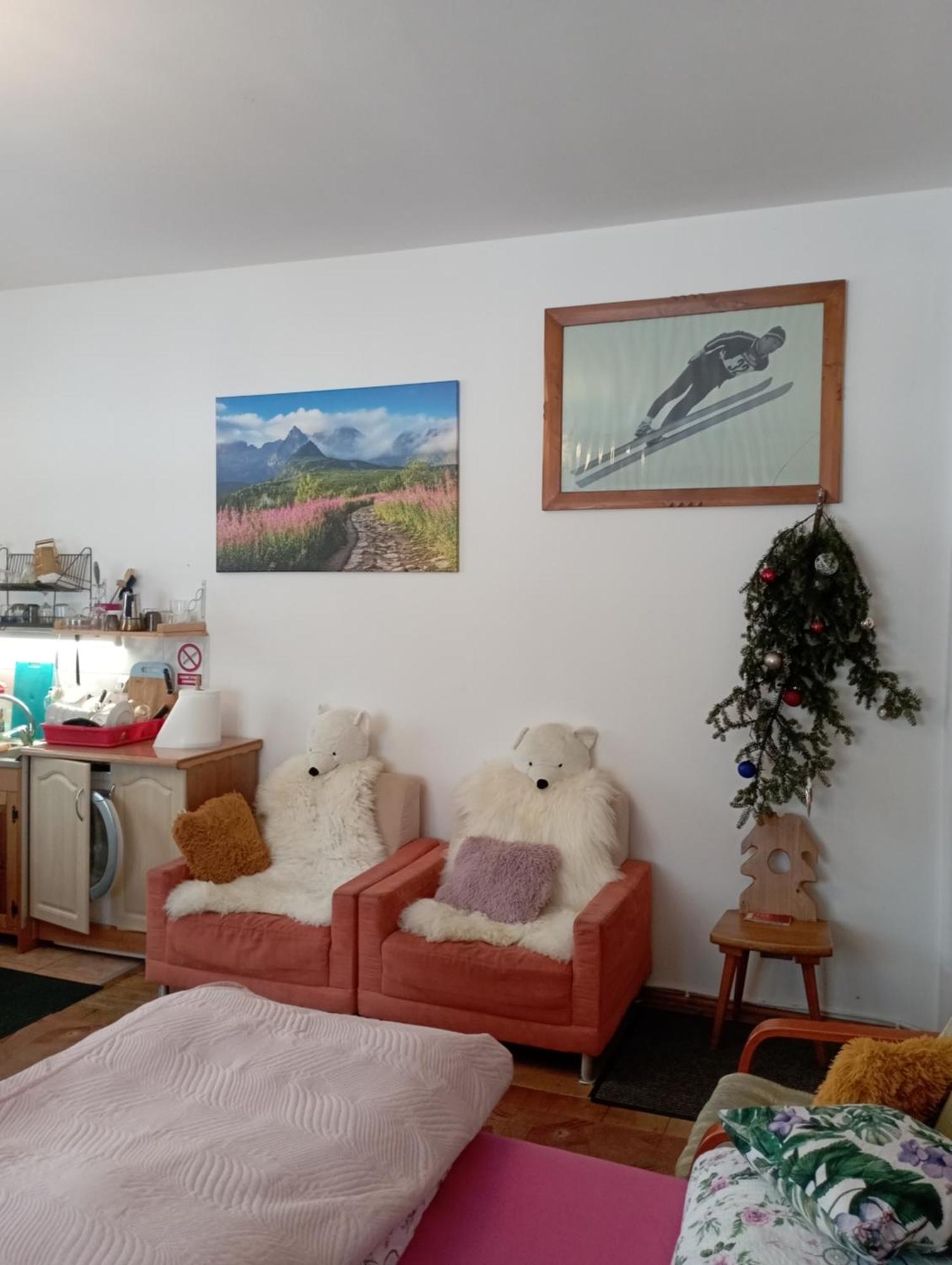 A3Apartament 2 Pokojowy Aneks Kuchenny 2 Lazienki Na Korytarzu Wspolne Z Innymi Ludzmi *