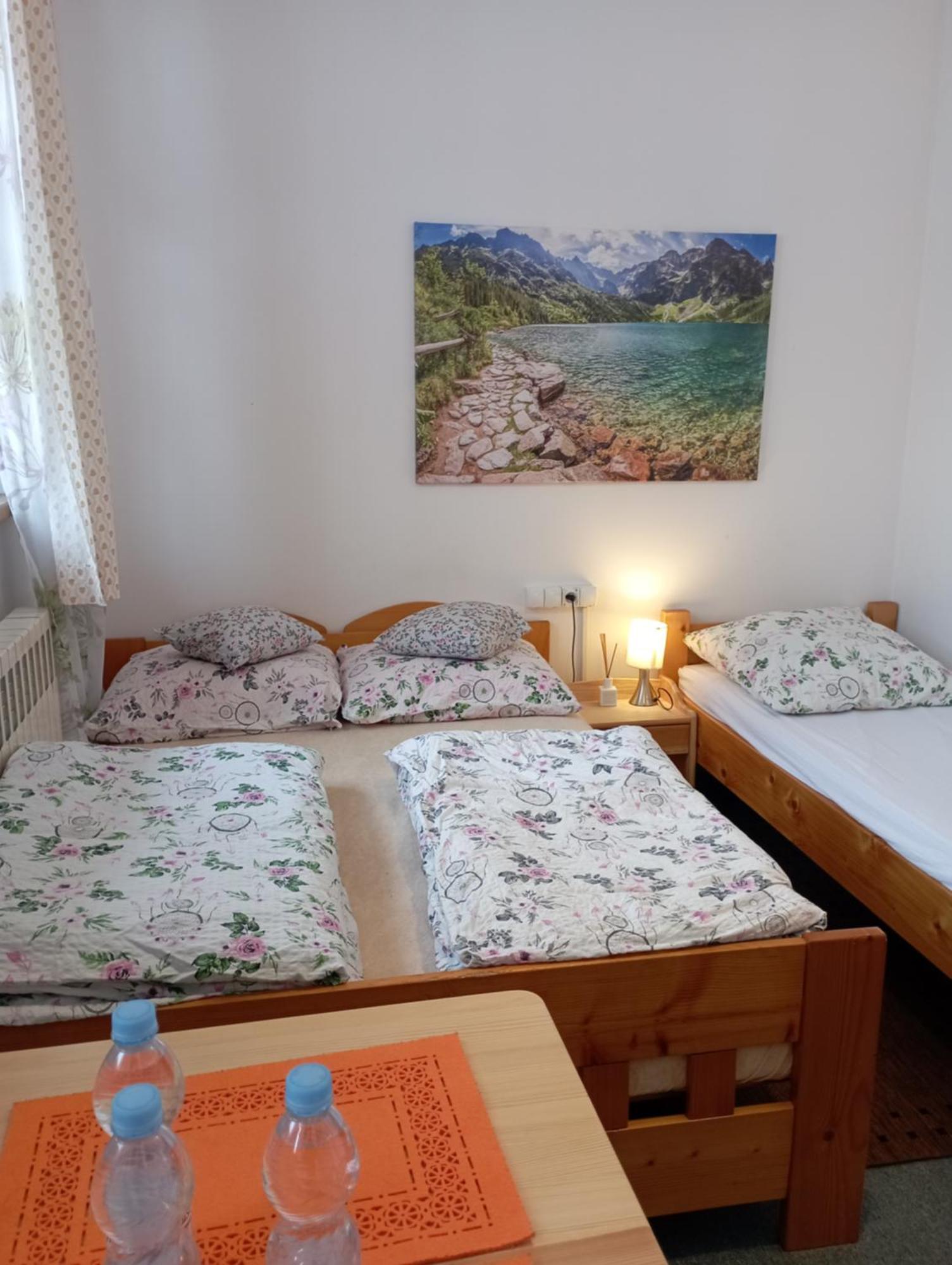 Skoczek: Two-room With Shared Bathrooms And Thermal Access Apartment Zakopane